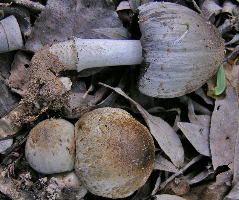 Ritrovamenti sabato 14 aprile.